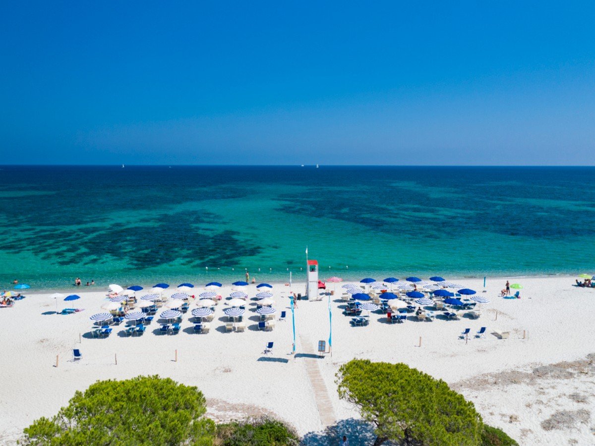 calafiorita futura (18).JPG