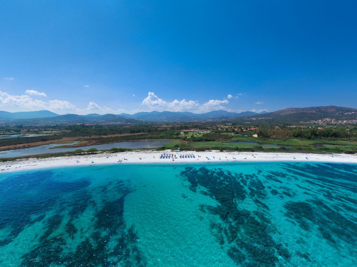 calafiorita futura (20).JPG