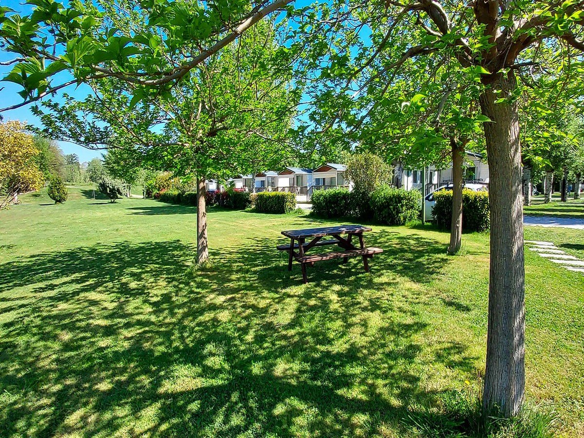 camping marina 3b sarzana_6.JPG