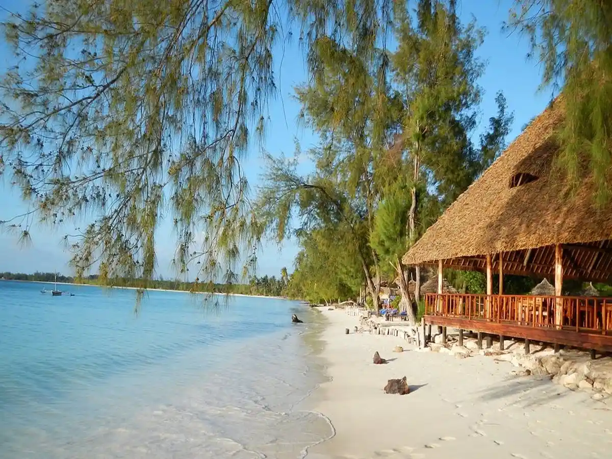 michamvi-sunset-bay-resort (6).webp