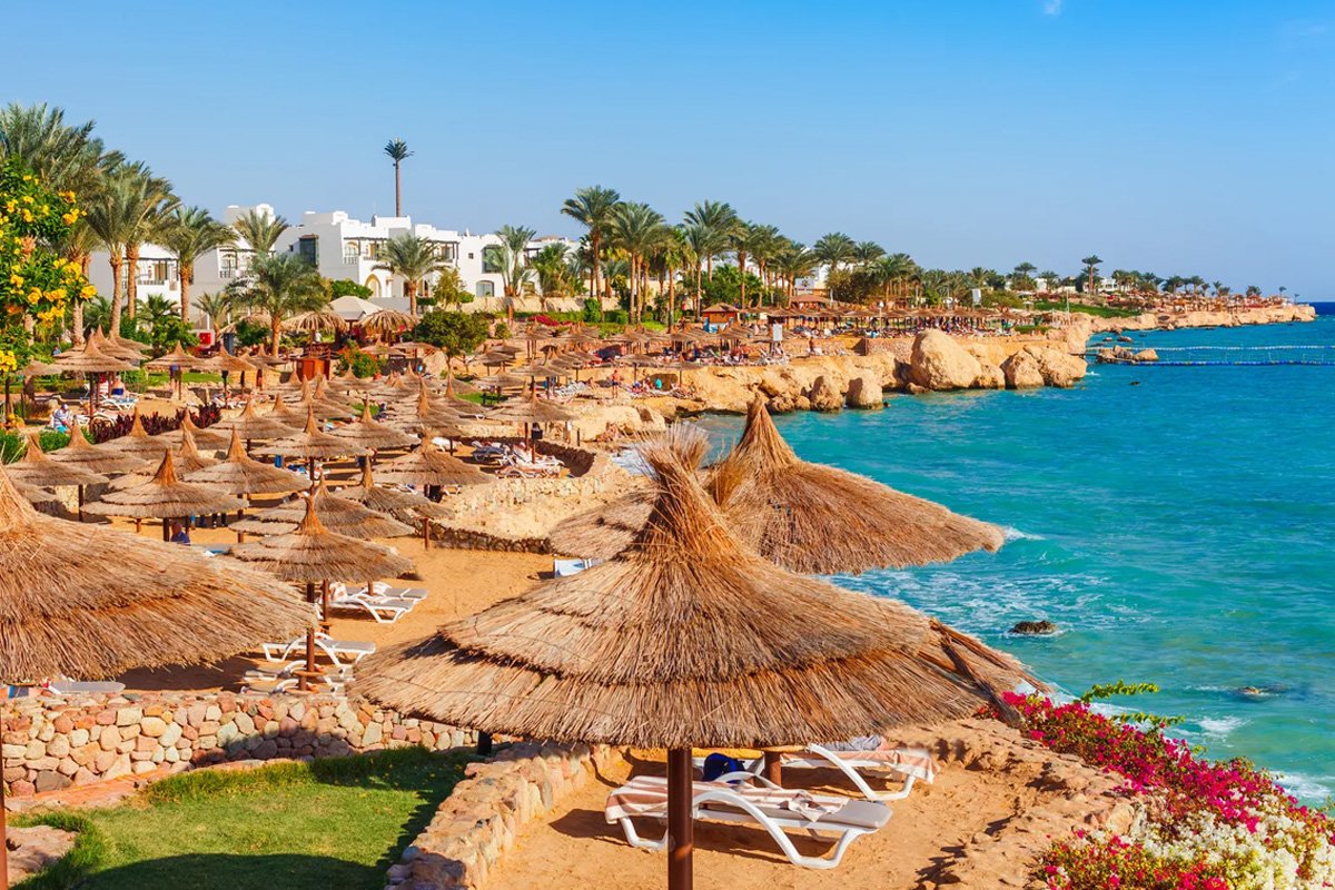 El Pasha Bay