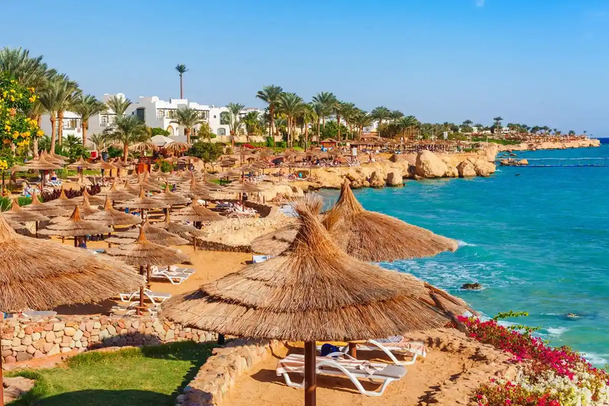 El Pasha Bay