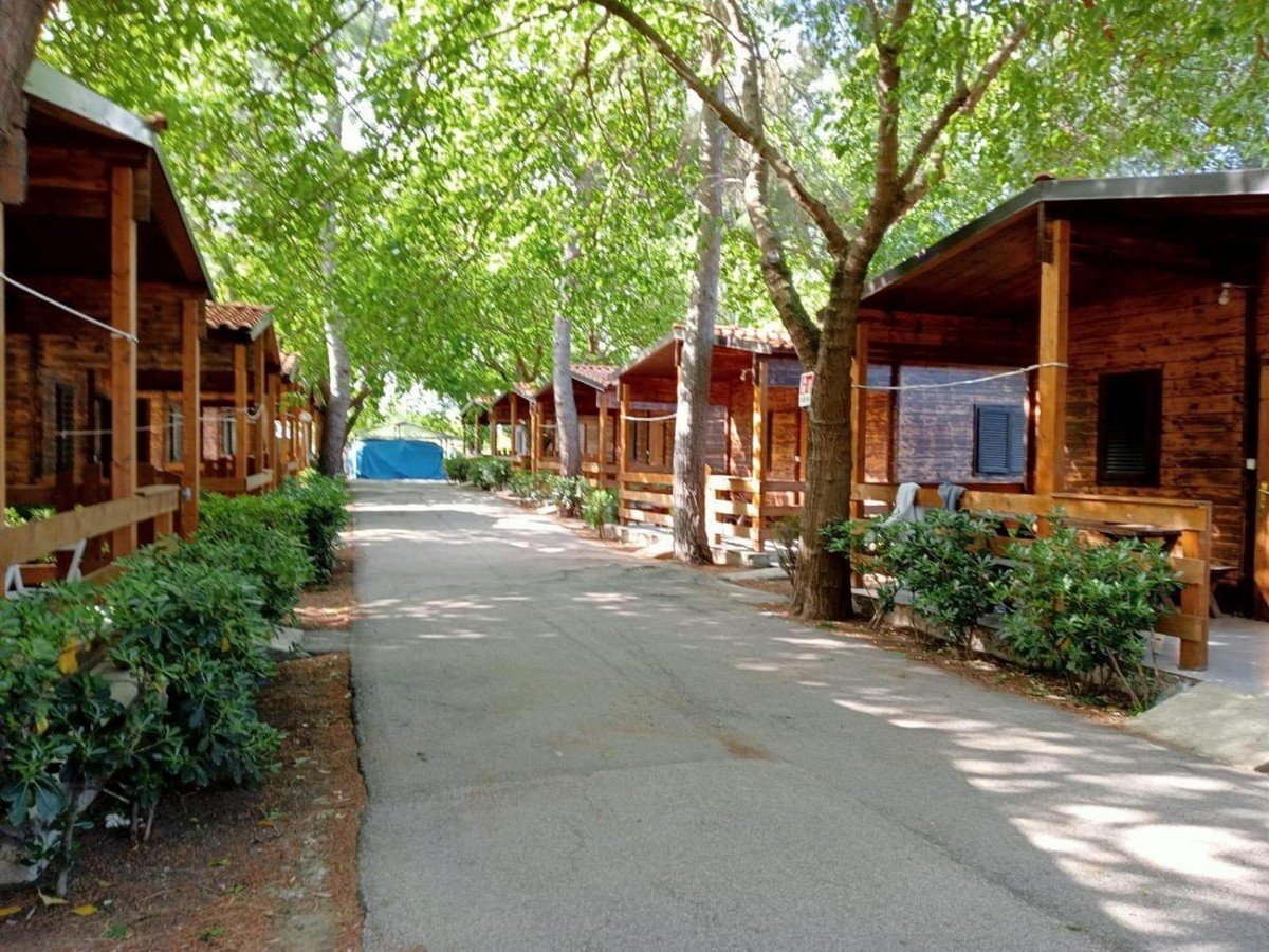 viola village club_10.jpg